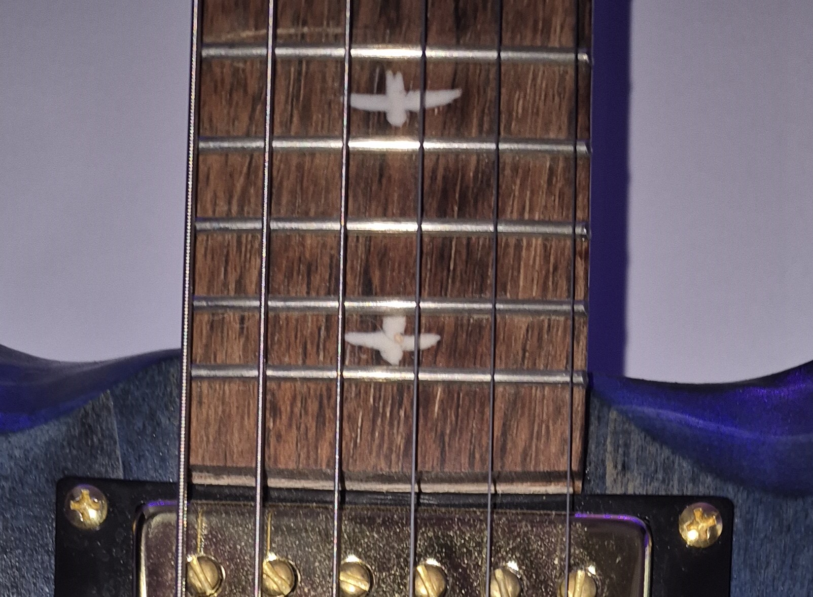 frets