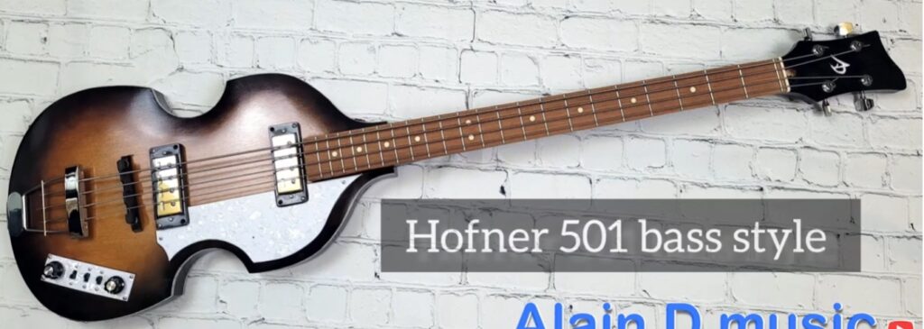 hofner 501 bass